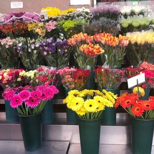 Meet your Posher, Jillian